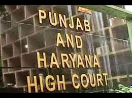 ਪੰਜਾਬ ''ਚ ਪਟਿਆਲਾ ਦੇ ਵਰਡਾਂ ਦੀਆਂ ਚੋਣਾਂ ਰੱਦ ਕਰਨ ਦੇ ਮਾਮਲੇ ''ਚ ਹਾਈਕੋਰਟ ਦਾ ਵੱਡਾ ਫ਼ੈਸਲਾ