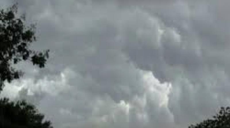 ਪੰਜਾਬ ਦੇ 11 ਜ਼ਿਲ੍ਹਿਆਂ ਵਿਚ ਹੈ ਮੀਂਹ ਦਾ ਅਲਰਟ,ਜ਼ਿਆਦਾਤਰ ਸ਼ਹਿਰਾਂ ਨੂੰ ਸੰਘਣੇ ਕਾਲੇ ਬੱਦਲਾਂ ਨੇ ਢੱਕਿਆ। 