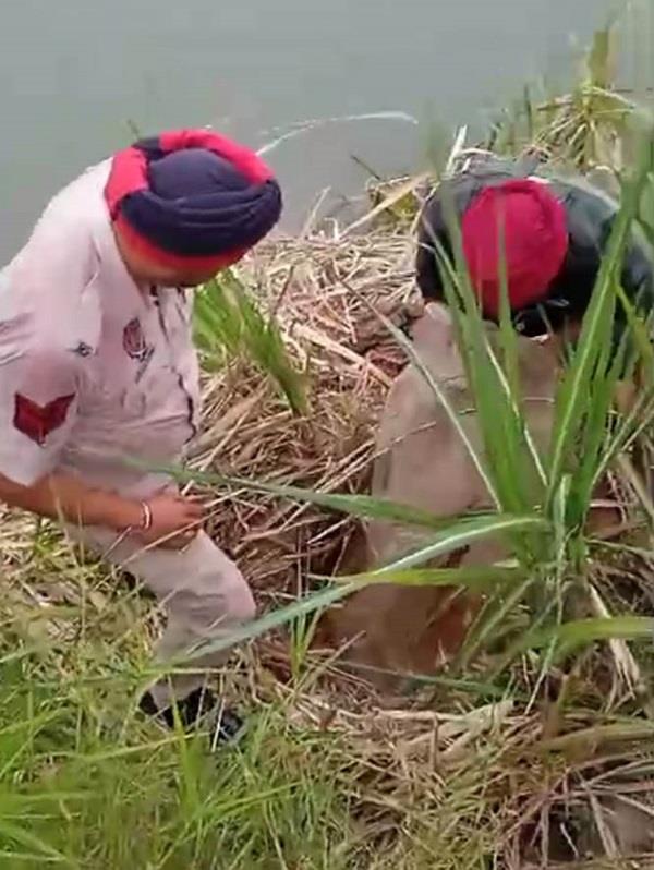 ਬਾਰਡਰ ਰੇਂਜ ਦੀ ਵੱਡੀ ਕਾਰਵਾਈ ਦੇ ਤਹਿਤ 16,850 ਲਿਟਰ ਲਾਹਣ ਤੇ ਨਸ਼ੀਲੇ ਪਦਾਰਥ ਸਮੇਤ 13 ਗ੍ਰਿਫ਼ਤਾਰ, 17 ਕੇਸ ਵੀ ਦਰਜ