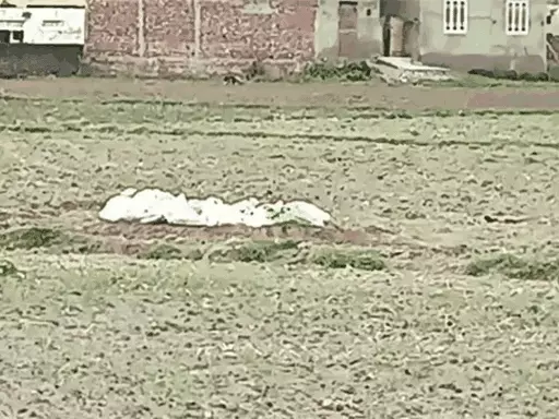 ਵੱਡੀ ਖਬਰ: ਹੁਸ਼ਿਆਰਪੁਰ ਦੇ ਖੇਤਾਂ ‘ਚੋਂ ਮਿਲਿਆ ਬੰਬ, ਪੁਲਿਸ ਨੇ ਇਲਾਕਾ ਕੀਤਾ ਸੀਲ