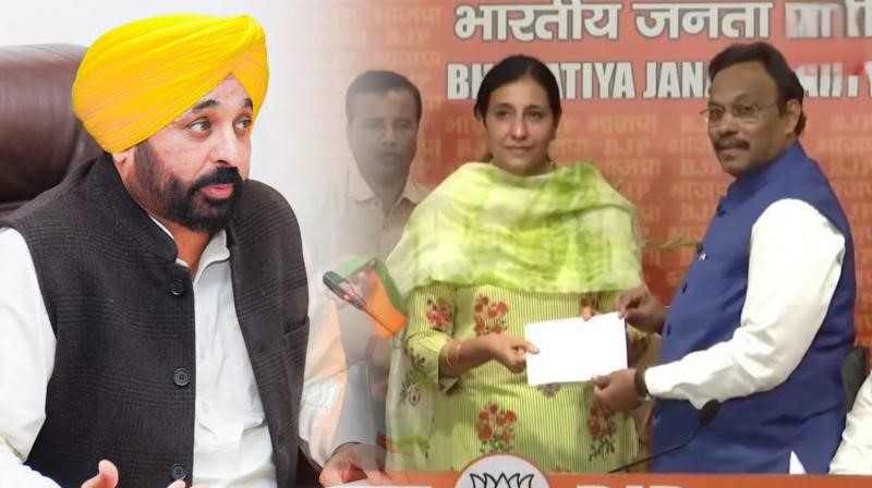 ਵੱਡੀ ਖ਼ਬਰ: CM ਮਾਨ ਨੇ ਮਲੂਕਾ ਦੀ ਨੂੰਹ IAS ਪਰਮਪਾਲ ਕੌਰ ਦੇ ਅਸਤੀਫ਼ੇ ਨੂੰ ਕੀਤਾ ਨਾ ਮਨਜ਼ੂਰ