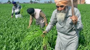 ਕਿਸਾਨਾਂ ਨੇ MSP ਗਾਰੰਟੀ ਕਾਨੂੰਨ ਨੂੰ ਲੈ ਕੇ ਬਣਾਈ ਨਵੀਂ ਰਣਨੀਤੀ