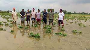 ਪੰਜਾਬ ਦੇ ਹੜ੍ਹ ਪੀੜਤ ਕਿਸਾਨਾਂ ਨੂੰ ਕੇਂਦਰ ਸਰਕਾਰ ਨੇ ਮੁਆਵਜ਼ੇ ਦੀ ਦਿੱਤੀ ਮਨਜ਼ੂਰੀ,ਮਿਲੀ ਵੱਡੀ ਰਾਹਤ।