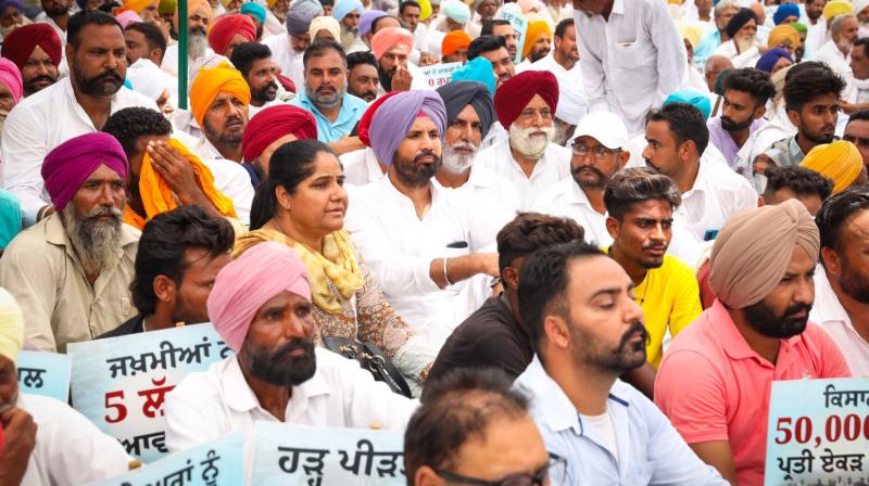 ਹੜ੍ਹ ਪੀੜਤਾਂ ਦੀ ਵਿੱਤੀ ਸਹਾਇਤਾ ਦੀ ਮੰਗ ਨੂੰ ਲੈ ਕੇ ਪੰਜਾਬ ਕਾਂਗਰਸ ਲੀਡਰਸ਼ਿਪ ਵੱਲੋਂ ਮਾਨਸਾ ਵਿਖੇ ਵਿਸ਼ਾਲ ਰੋਸ ਪ੍ਰਦਰਸ਼ਨ