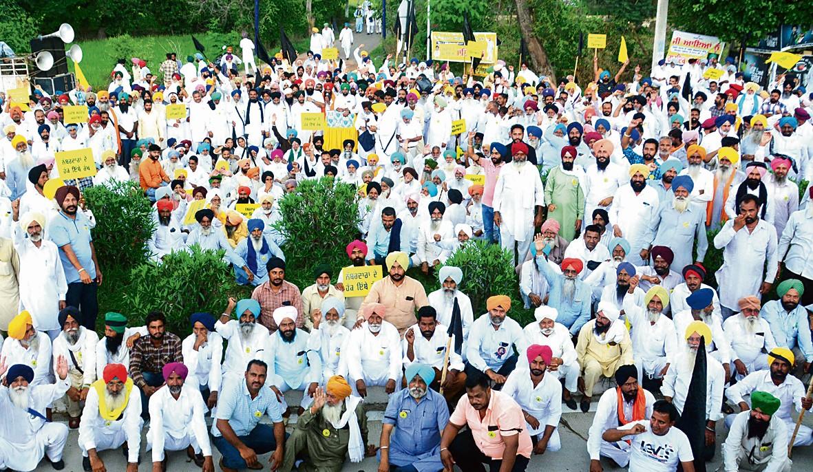 CM ਭਗਵੰਤ ਮਾਨ ਦੀ ਕੋਠੀ ਨੇੜੇ ਸੂਬੇ ਭਰ ਤੋਂ ਪੁੱਜੇ ਨੰਬਰਦਾਰਾਂ ਵੱਲੋਂ ਧਰਨਾ। 