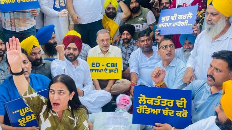 MP ਸੰਜੇ ਸਿੰਘ ਦੀ ਗ੍ਰਿਫ਼ਤਾਰੀ ਤੇ AAP ਪੰਜਾਬ ਦਾ ਚੰਡੀਗੜ੍ਹ ਚ ਪ੍ਰਦਰਸ਼ਨ,ਭਾਜਪਾ ਦਫਤਰ ਅੱਗੇ ਦਿੱਤਾ ਧਰਨਾ