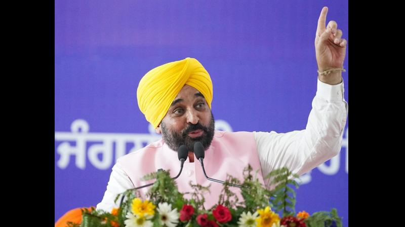 ਬੂਟੇ ਲਾਉਣ ਦੀ ਮੁਹਿੰਮ ਨੂੰ ਲੋਕ ਲਹਿਰ ਬਣਾਉਣ ਦਾ ਮੁੱਖ ਮੰਤਰੀ ਭਗਵੰਤ ਮਾਨ ਵੱਲੋਂ ਸੱਦਾ