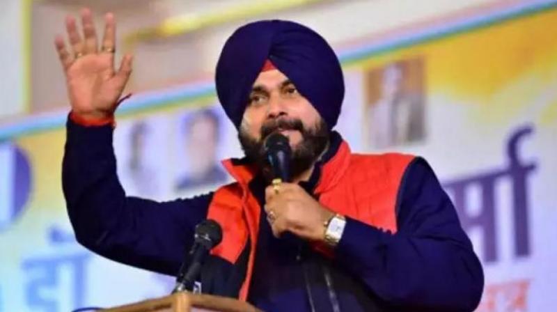  ਲੋਕ ਸਭਾ ਚੋਣ ਲੜਨ ਤੋਂ ਨਵਜੋਤ ਸਿੱਧੂ ਨੇ ਕੀਤਾ ਸਾਫ਼ ਇਨਕਾਰ